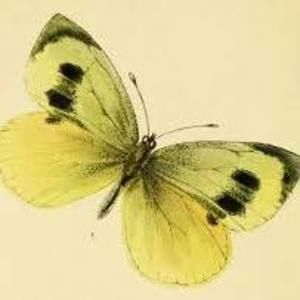 Meet your Posher, Kathryn kara